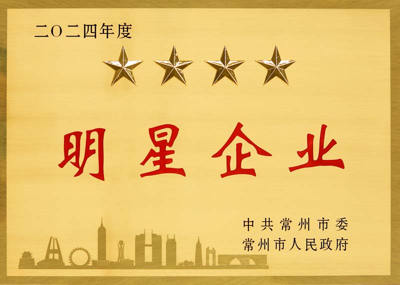 2024年度明星企業(yè)