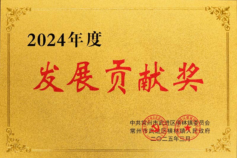 2024年度發(fā)展貢獻(xiàn)獎(jiǎng)